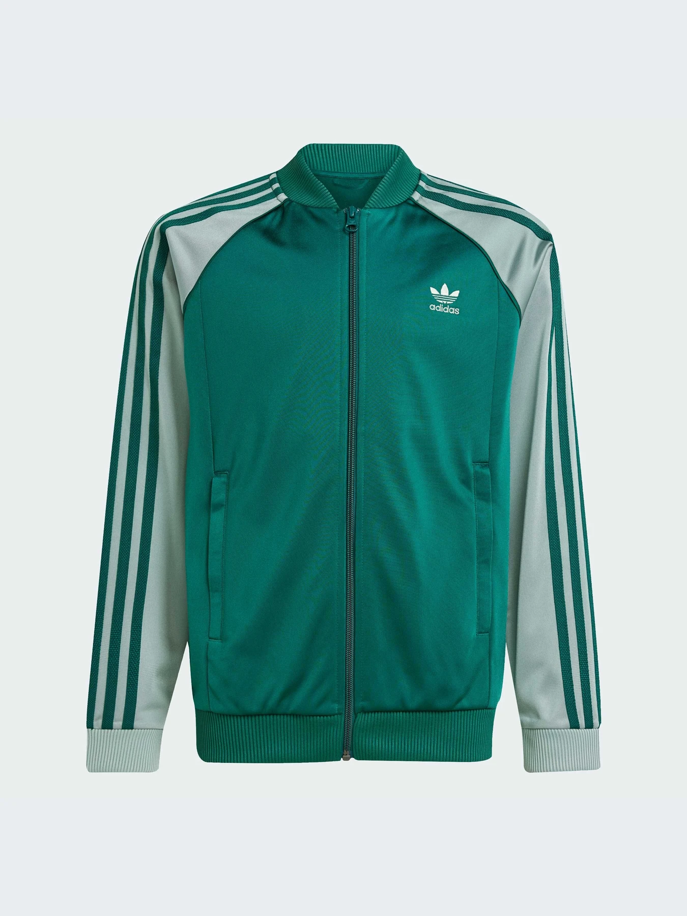 Худи и свитшоты Adidas Adicolor модель JD1611-KZ Худи и свитшоты Adidas Adicolor модель JD1611-KZ Фото