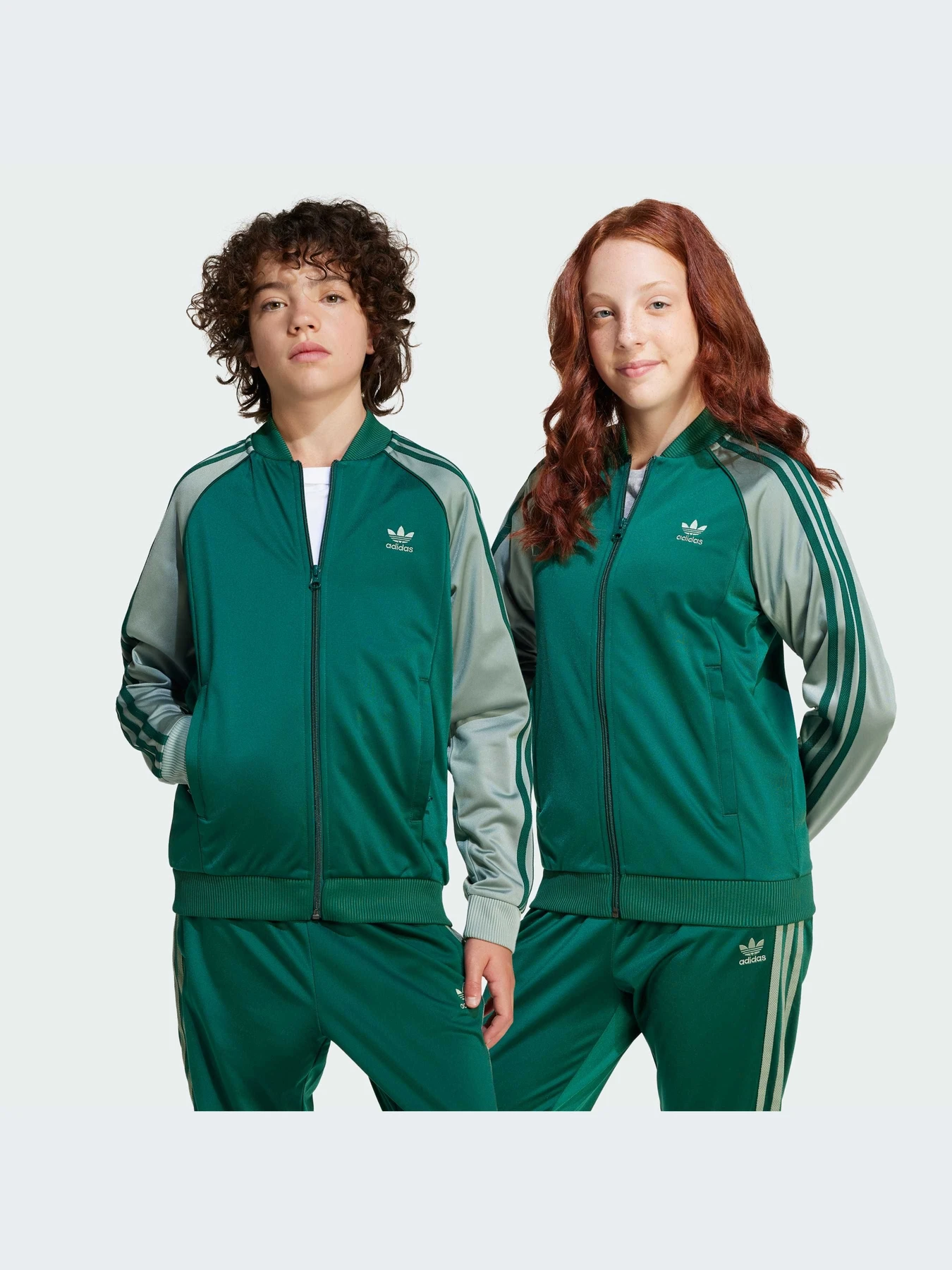 Худи и свитшоты Adidas Adicolor модель JD1611-KZ Худи и свитшоты Adidas Adicolor модель JD1611-KZ Фото