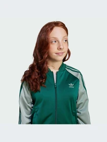 Худи и свитшоты Adidas Adicolor модель JD1611-KZ Фото