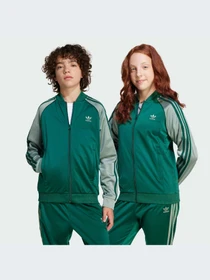 Худи и свитшоты Adidas Adicolor модель JD1611-KZ Фото