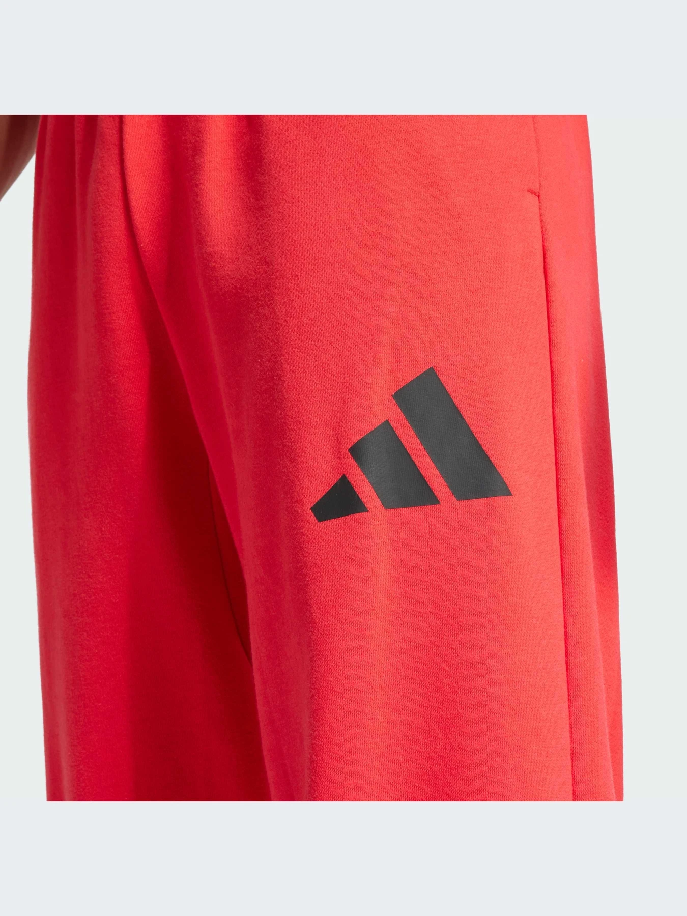 Брюки Adidas модель JF3601-KZ Брюки Adidas модель JF3601-KZ Фото
