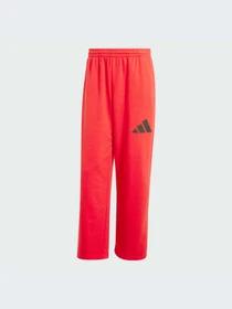 Брюки Adidas модель JF3601-KZ Фото
