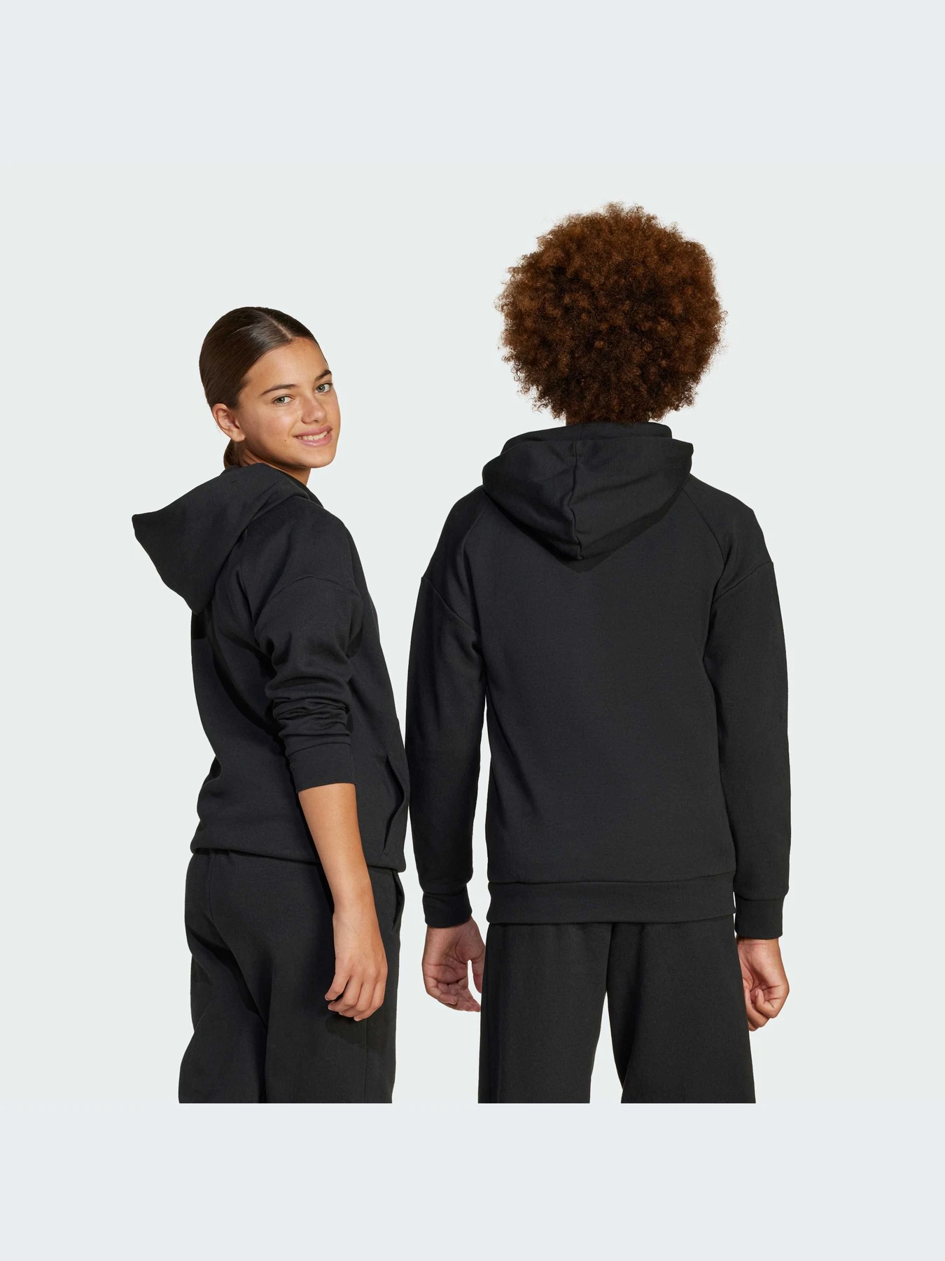 Худи и свитшоты Adidas Icons модель JJ4784-KZ Худи и свитшоты Adidas Icons модель JJ4784-KZ Фото