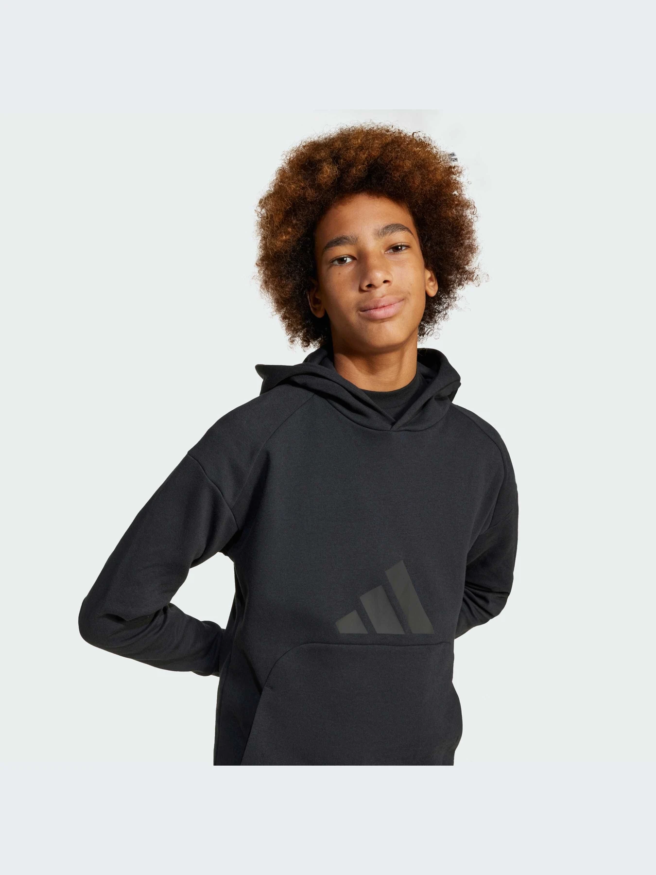 Худи и свитшоты Adidas Icons модель JJ4784-KZ Худи и свитшоты Adidas Icons модель JJ4784-KZ Фото
