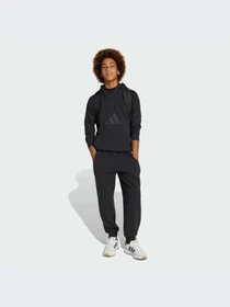 Худи и свитшоты Adidas Icons модель JJ4784-KZ Фото
