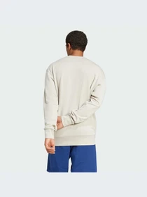 Худи и свитшоты Adidas модель JI6386-KZ Фото