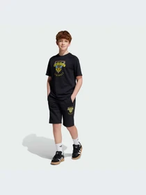 Шорты Adidas Graphics модель JC5866-KZ Фото