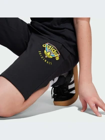 Шорты Adidas Graphics модель JC5866-KZ Фото