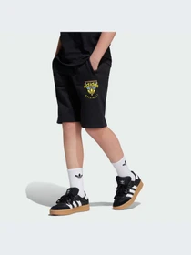 Шорты Adidas Graphics модель JC5866-KZ Фото