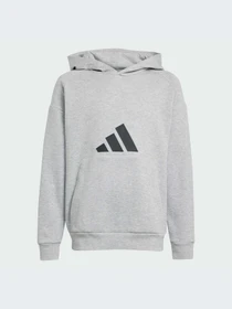 Худи и свитшоты Adidas Icons модель JJ4788-KZ Фото