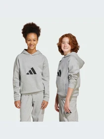 Худи и свитшоты Adidas Icons модель JJ4788-KZ Фото