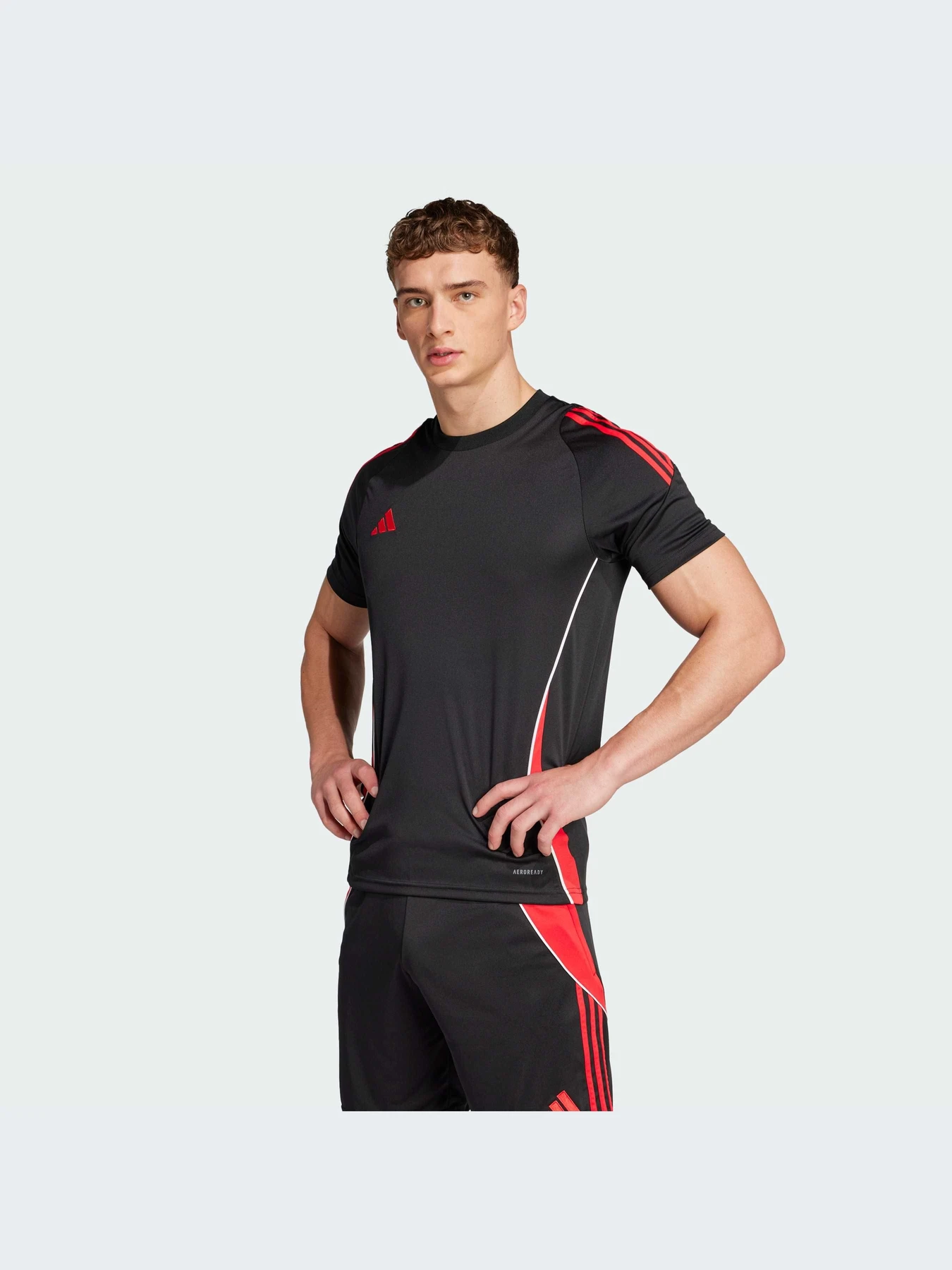 Футболки и поло Adidas Tiro модель JP2494-KZ Футболки и поло Adidas Tiro модель JP2494-KZ Фото