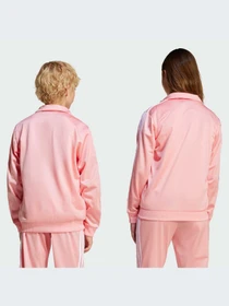 Худи и свитшоты Adidas Adicolor модель JD1622-KZ Фото
