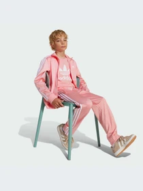 Брюки Adidas Adicolor модель JD1634-KZ Фото