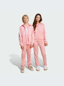 Брюки Adidas Adicolor модель JD1634-KZ Фото