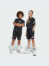 Шорты Adidas ZNE модель JD0010-KZ Фото