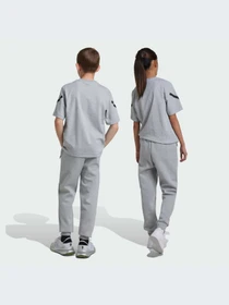 Брюки Adidas ZNE модель JI7543-KZ Фото