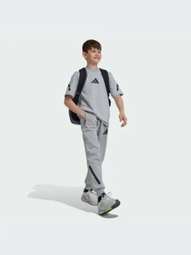 Брюки Adidas ZNE модель JI7543-KZ Фото