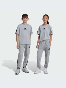 Брюки Adidas ZNE модель JI7543-KZ Фото