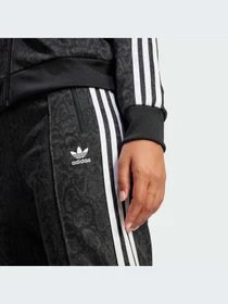 Повседневные штаны Adidas Graphics модель JI8405-KZ Фото