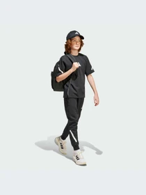 Брюки Adidas ZNE модель JD0006-KZ Фото