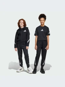 Брюки Adidas ZNE модель JD0006-KZ Фото