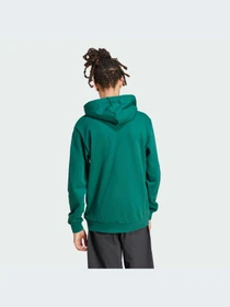 Худи и свитшоты Adidas Graphics модель JP4416-KZ Фото