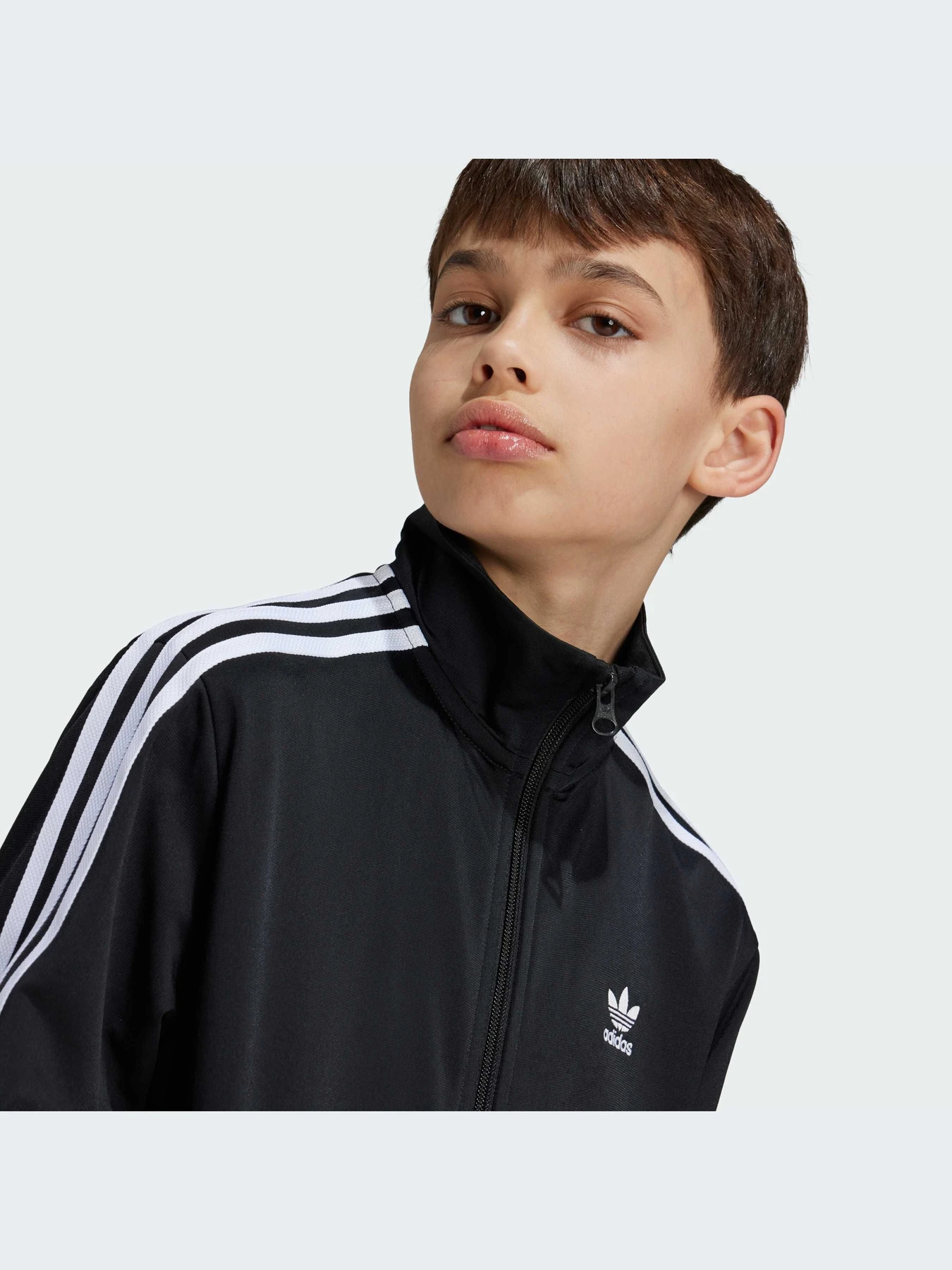 Худи и свитшоты Adidas Adicolor модель IY9800-KZ Худи и свитшоты Adidas Adicolor модель IY9800-KZ Фото