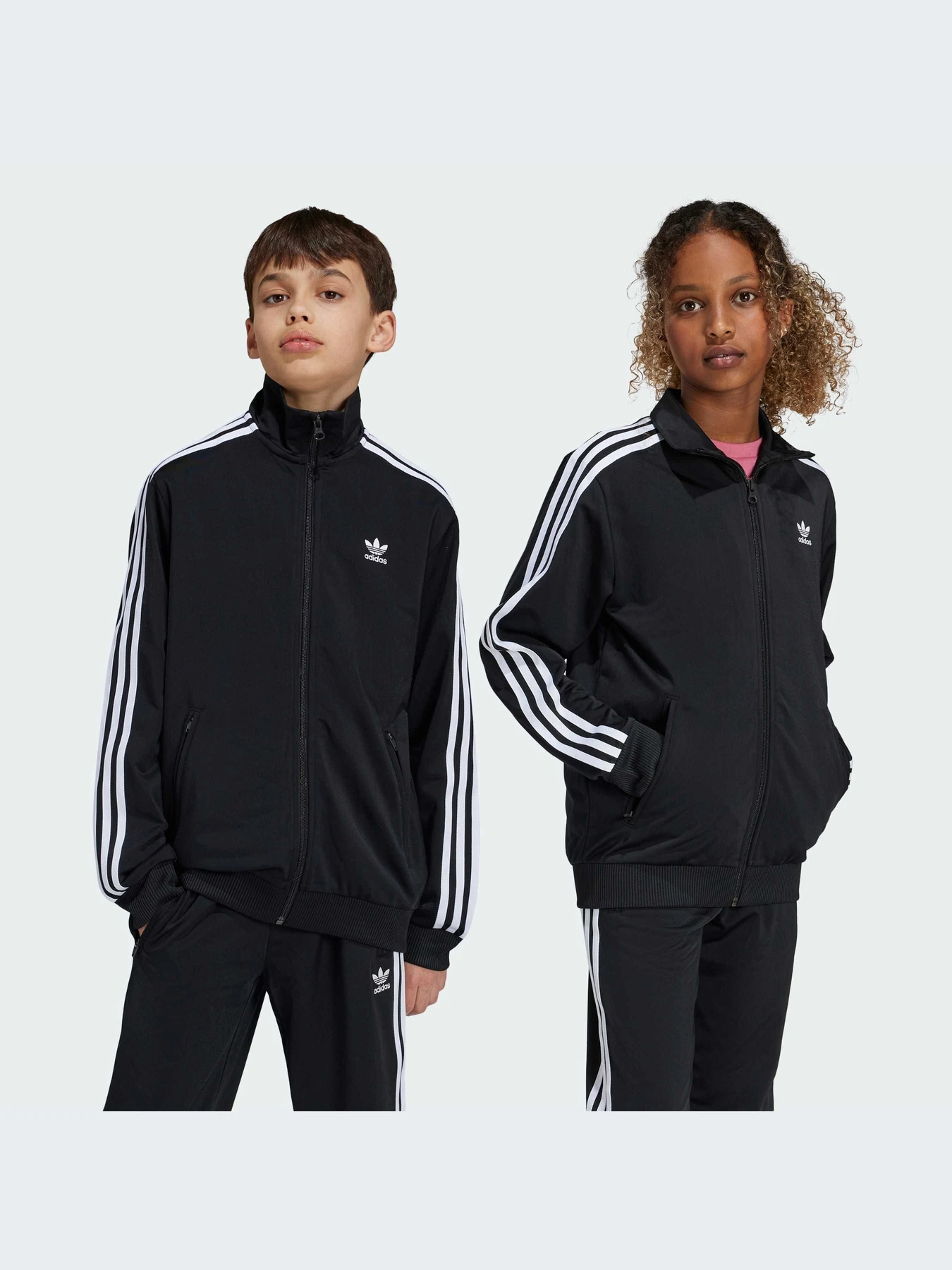 Худи и свитшоты Adidas Adicolor модель IY9800-KZ Худи и свитшоты Adidas Adicolor модель IY9800-KZ Фото