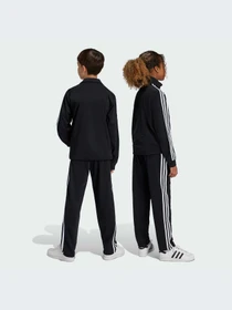 Брюки Adidas Adicolor модель IY9805-KZ Фото