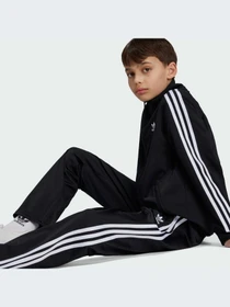 Брюки Adidas Adicolor модель IY9805-KZ Фото