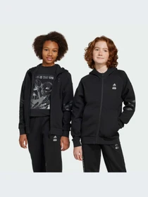 Худи и свитшоты Adidas модель JF3634-KZ Фото
