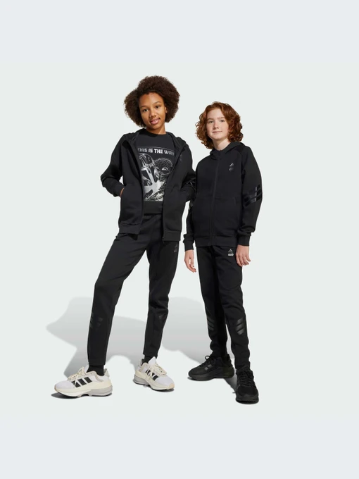 Брюки Adidas модель JF3635-KZ Фото