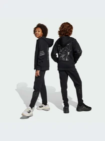 Брюки Adidas модель JF3635-KZ Фото