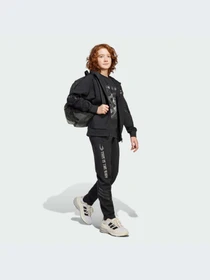 Брюки Adidas модель JF3635-KZ Фото