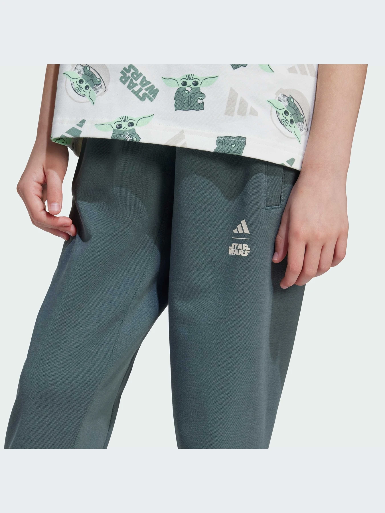 Спортивная одежда Adidas модель JF3652-KZ Спортивная одежда Adidas модель JF3652-KZ Фото