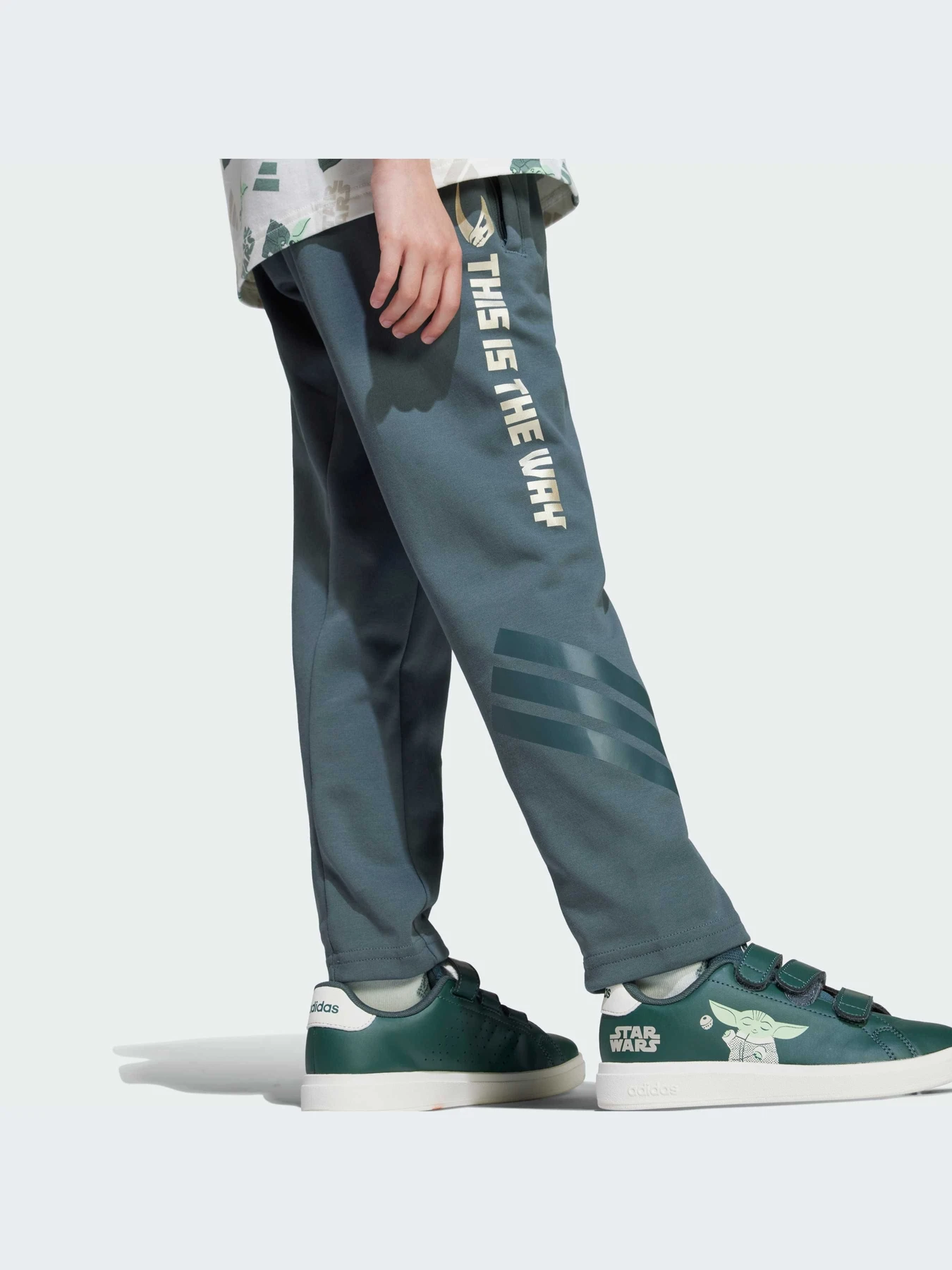 Спортивная одежда Adidas модель JF3652-KZ Спортивная одежда Adidas модель JF3652-KZ Фото