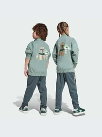 Спортивная одежда Adidas модель JF3652-KZ Фото