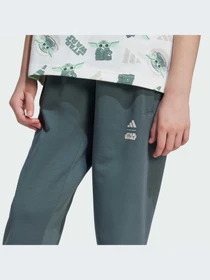 Спортивная одежда Adidas модель JF3652-KZ Фото