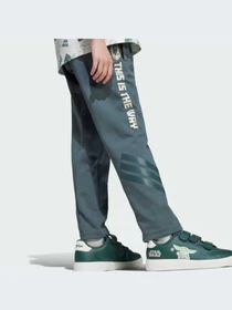 Спортивная одежда Adidas модель JF3652-KZ Фото