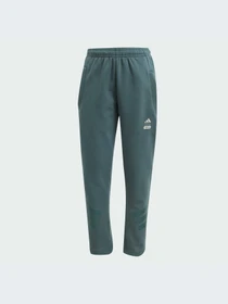 Спортивная одежда Adidas модель JF3652-KZ Фото