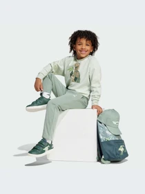 Костюмы Adidas модель JF3651-KZ Фото