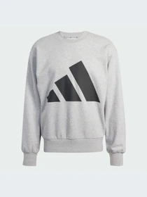 Худи и свитшоты Adidas модель JE8952-KZ Фото