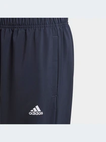 Брюки Adidas модель GN4096-KZ Фото