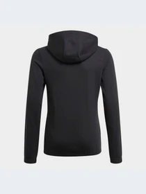 Худи и свитшоты Adidas модель GQ8356-KZ Фото