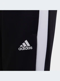 Брюки Adidas модель H59992-KZ Фото