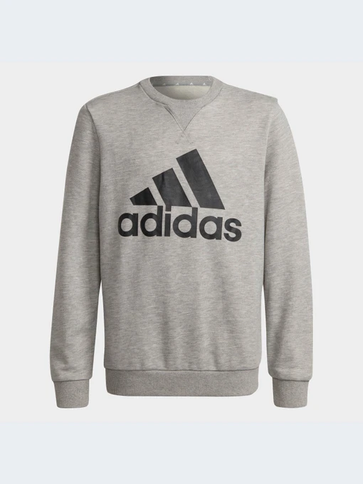 Худи и свитшоты Adidas модель GS4273-KZ Фото