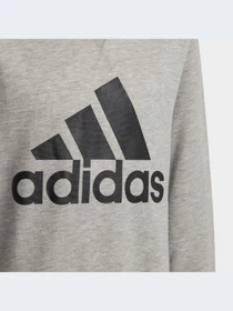 Худи и свитшоты Adidas модель GS4273-KZ Фото