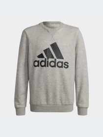 Худи и свитшоты Adidas модель GS4273-KZ Фото