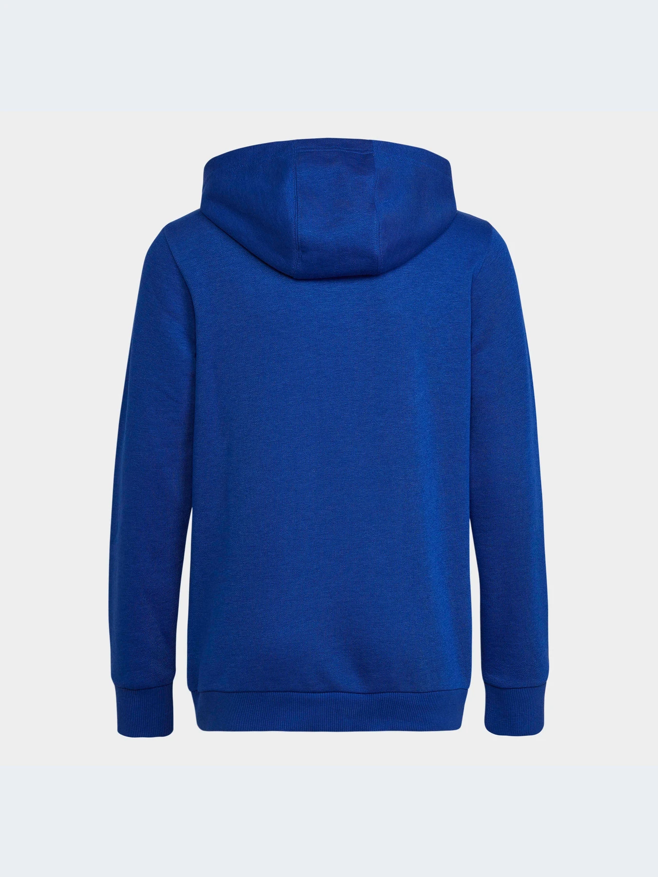 Худи и свитшоты Adidas модель HN1912-KZ Худи и свитшоты Adidas модель HN1912-KZ Фото